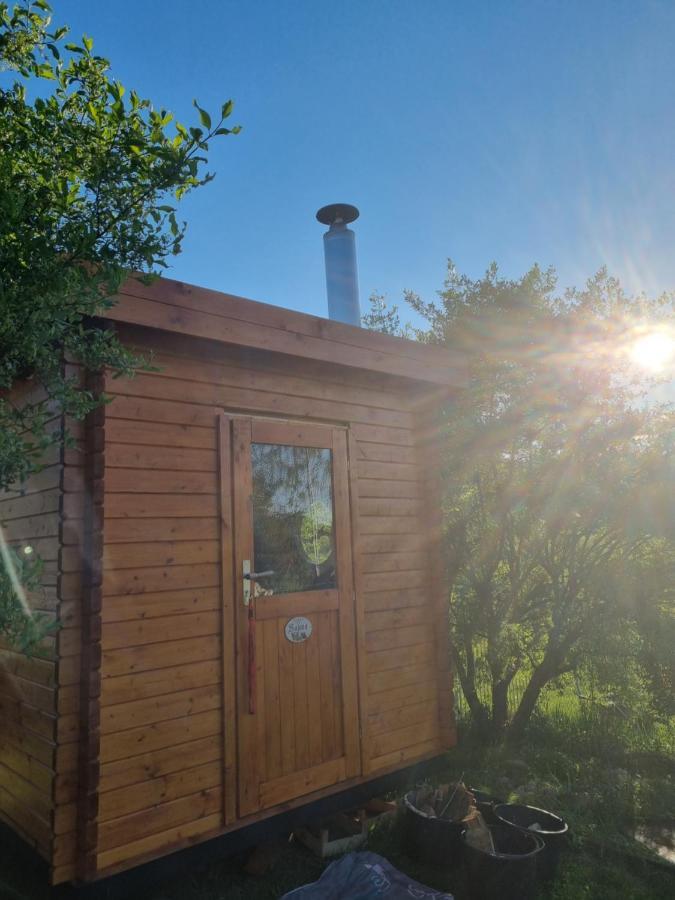 Woodhouse Spreewiesen Burig Εξωτερικό φωτογραφία
